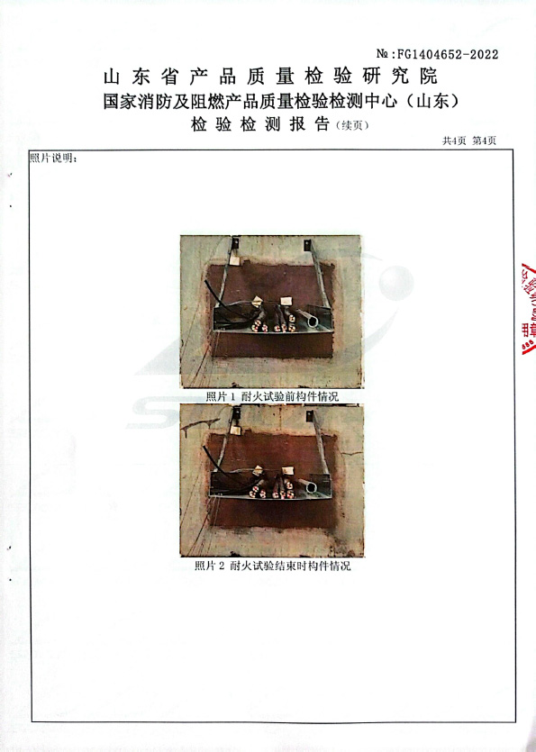 無機(jī)堵料DW-A3型式試驗(yàn)報(bào)告
